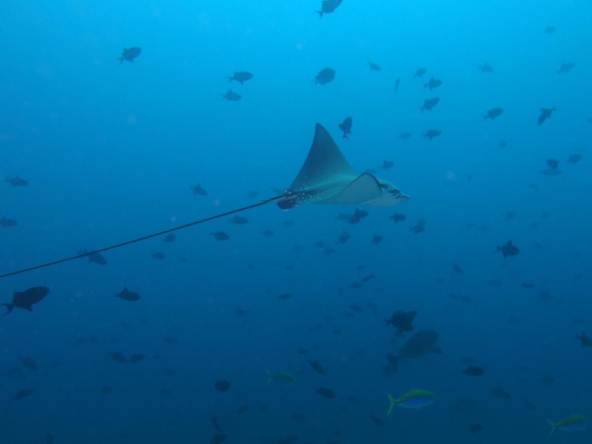 Leaf Fish Guesthouse Maldives Keyodhoo  Esterno foto